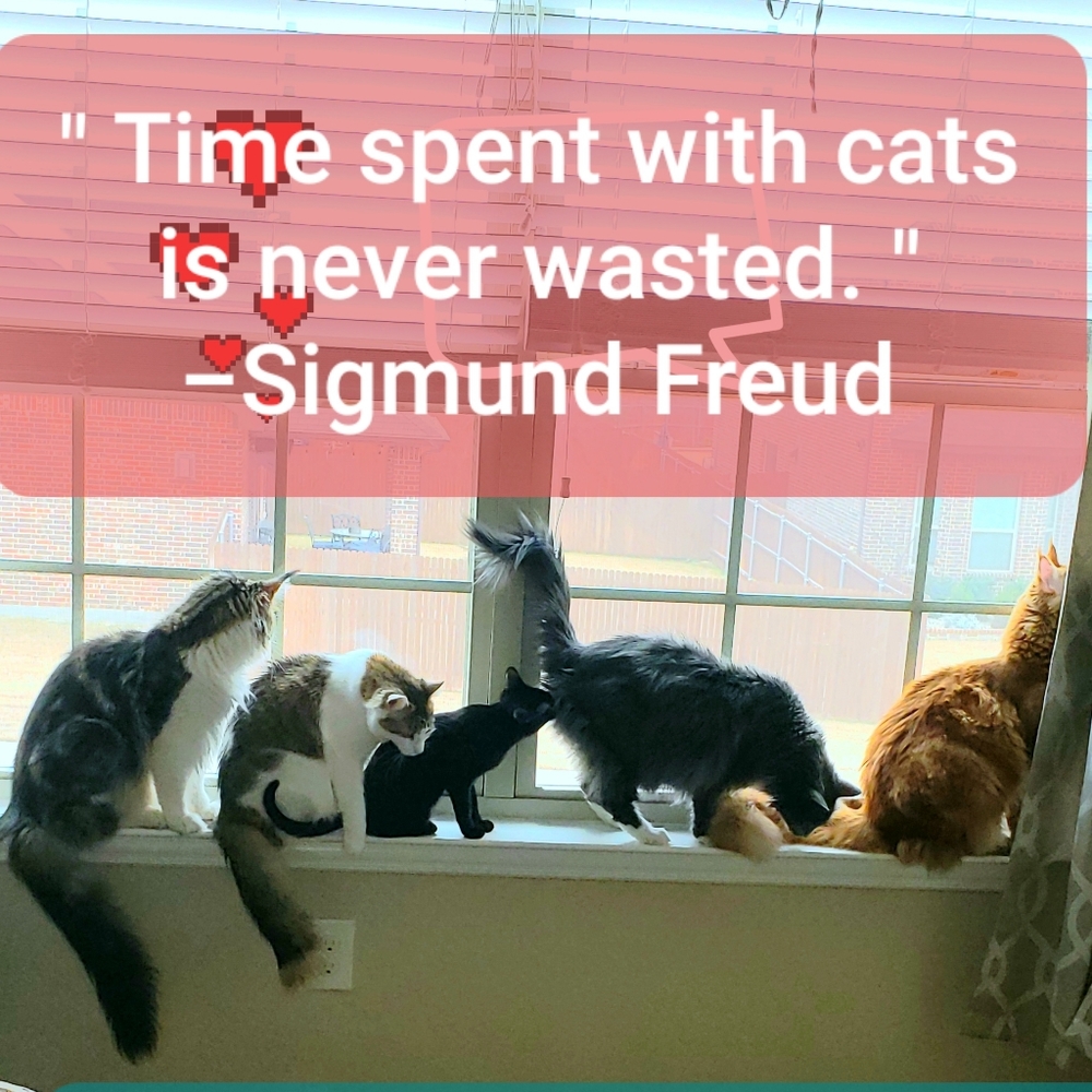 Love ❤️ Notes - Picture 16 of 16